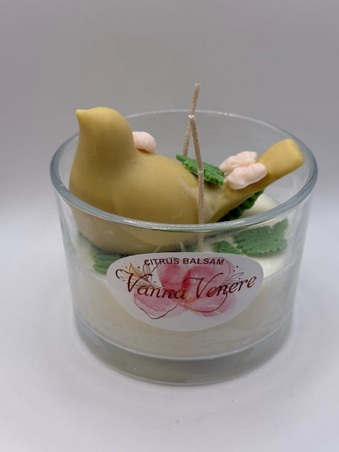 Citrus Balsam 15 oz Clear Container