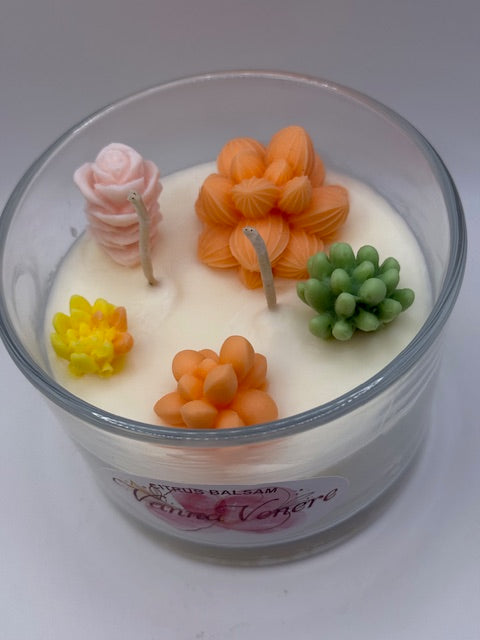 Citrus Balsam Cactus Decor 15 oz Clear Container