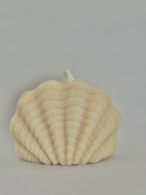 Seashell Pillar - Beach Linen