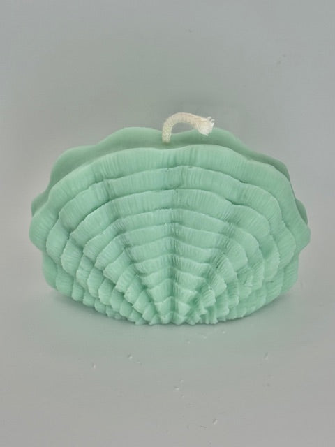 Seashell Pillar - Sea Moss & Aloe