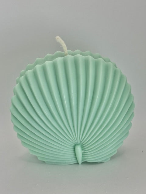 Scallop Shell Candle Large - Sea Moss & Aloe