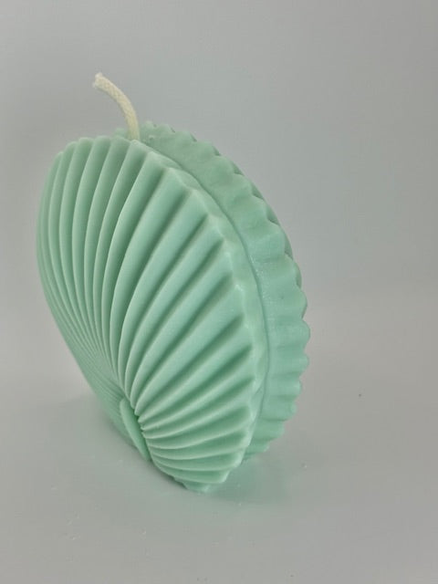 Scallop Shell Candle Large - Sea Moss & Aloe