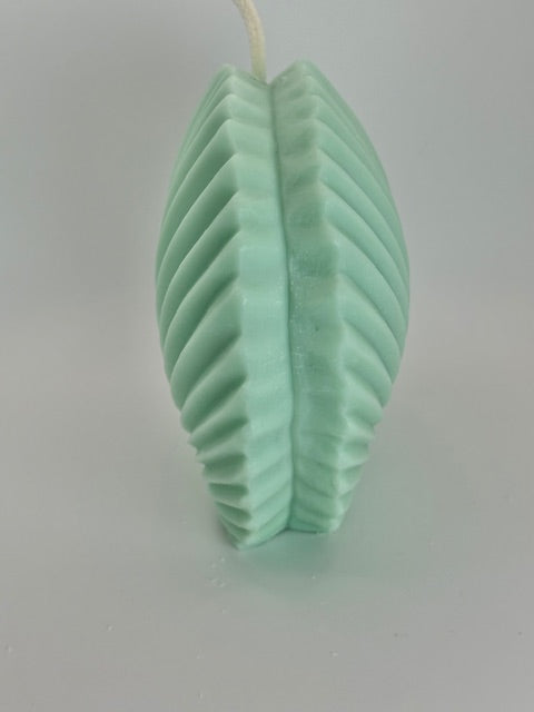 Scallop Shell Candle Large - Sea Moss & Aloe
