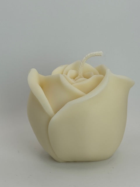 Blush Rose Candle – Divine Glow | 134g
