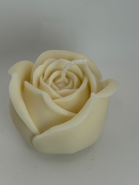 Blush Rose Candle – Divine Glow | 134g